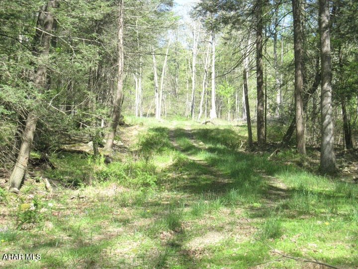 Off North Silver Pine Road Petersburg, PA 16669 - Photo 7 of 29 Gallery Image 7