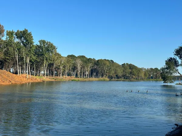 $399,900 | Lot 104 Oak Street, Frankston, TX 75763