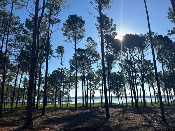 $399,900 | Lot 104 Oak Street, Frankston, TX 75763