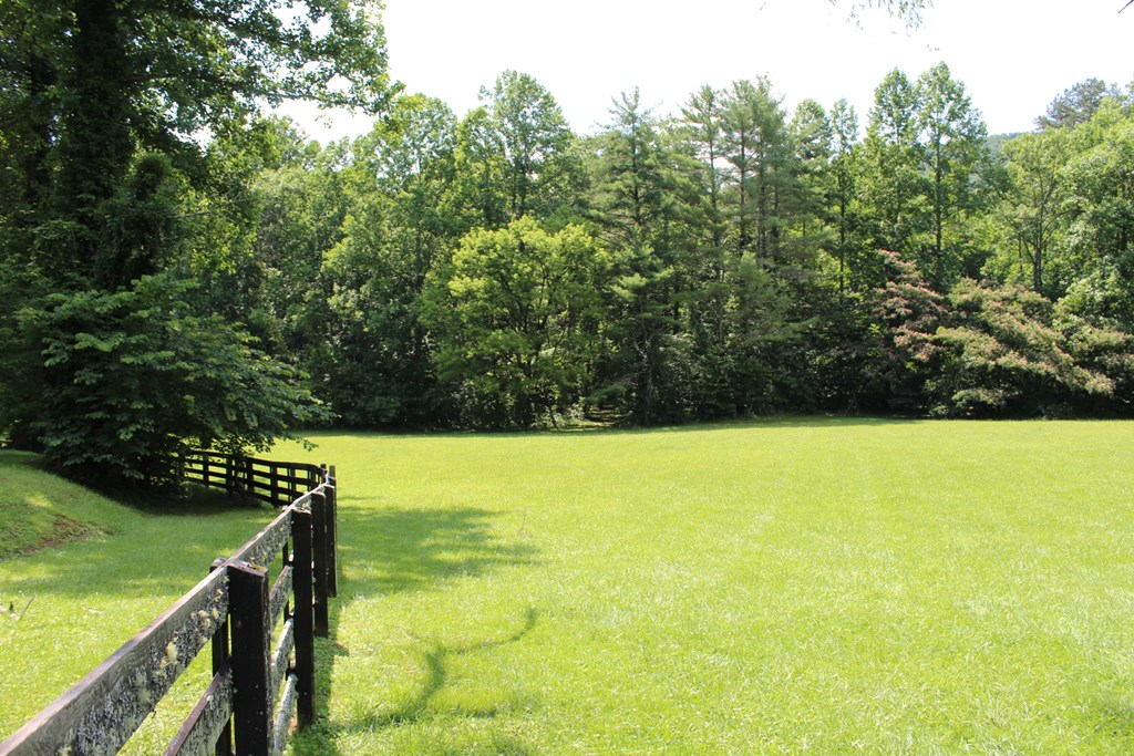 0 Wolf Mountain Road Murphy, NC 28906 - Photo 7 of 9
