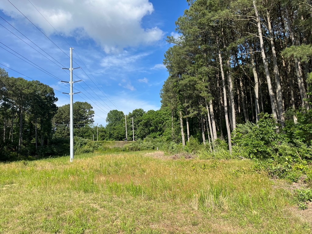 N/a Chincoteague Road Wallops Island, VA 23337 - Photo 19 of 27