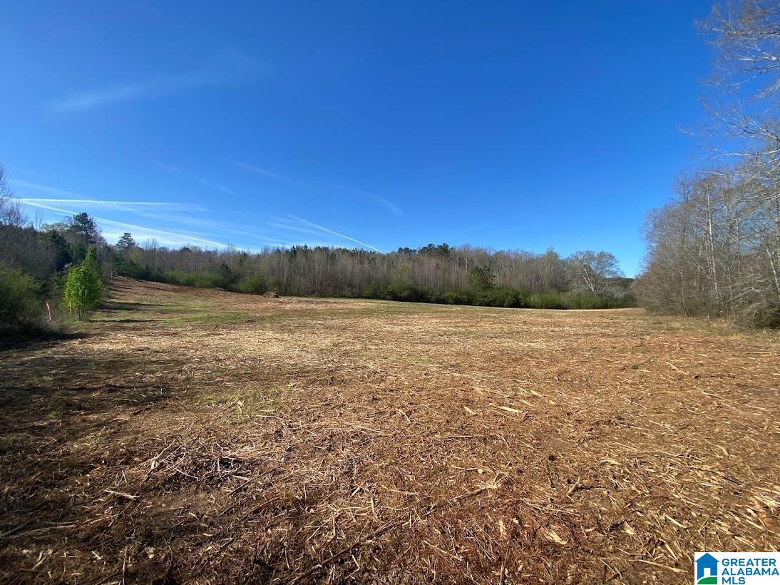 0 State Line Road Graham, AL 36263 - Photo 3 of 8