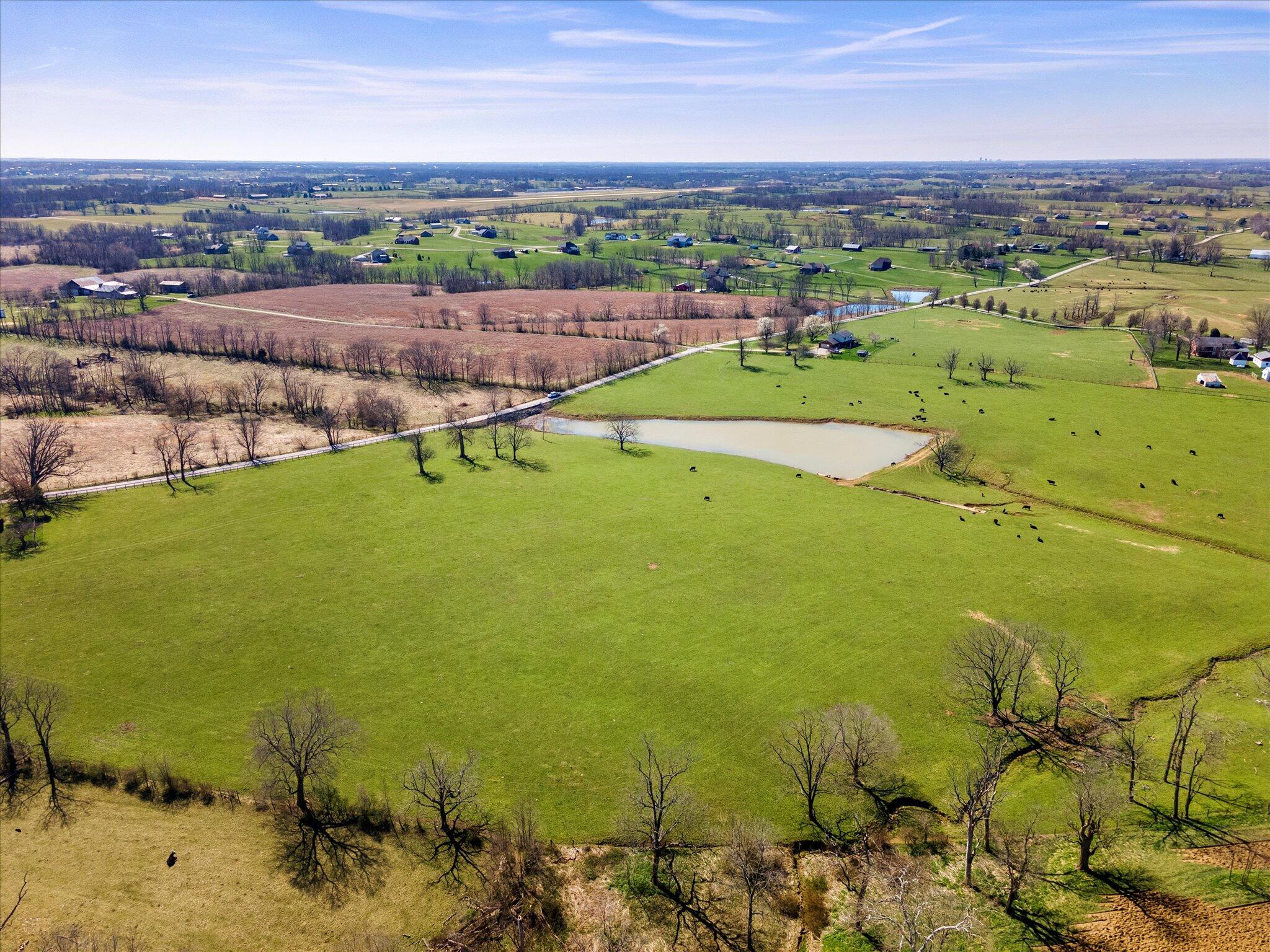 1392 Leesburg Road, Unit A Georgetown, KY 40324 - Photo 5 of 7 4-DJI_0801