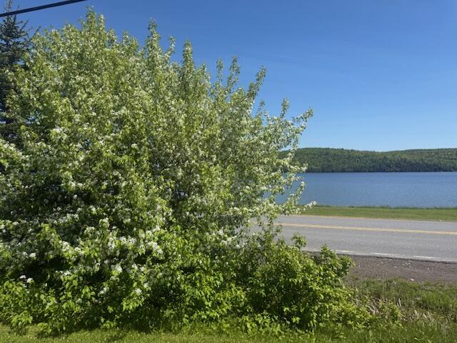 107 Sinclair Road Sinclair, ME 04779 - Photo 21 of 21 IMG_7473