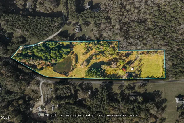 a picture of flowers