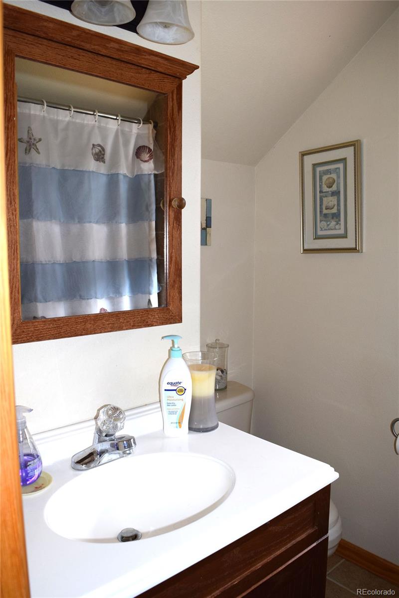 116 Price Street Bailey, CO 80421 - Photo 23 of 35 Gallery Image 23