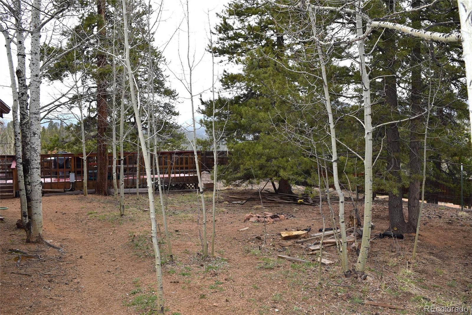 116 Price Street Bailey, CO 80421 - Photo 28 of 35 Gallery Image 28