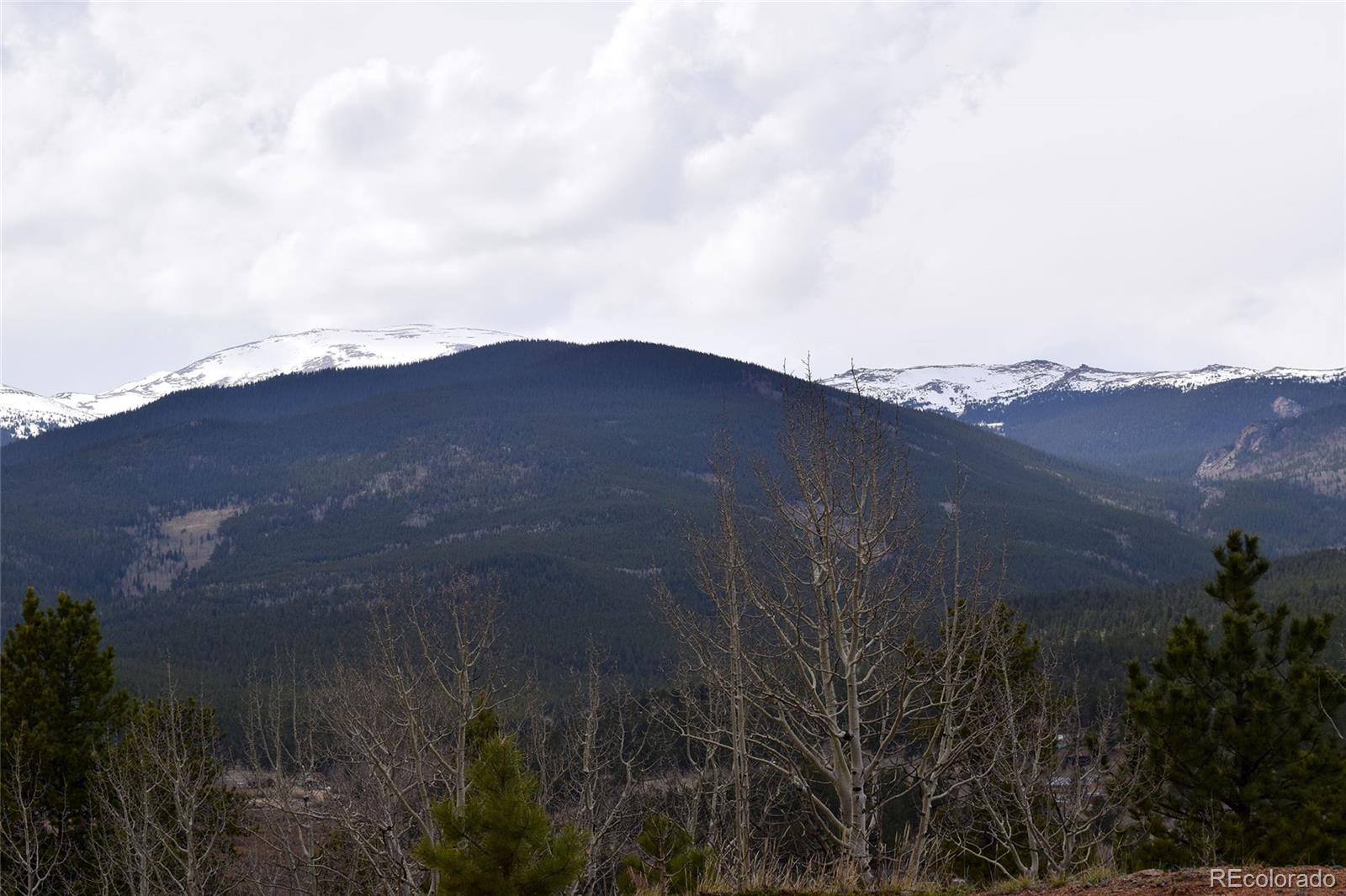 116 Price Street Bailey, CO 80421 - Photo 33 of 35 Gallery Image 33