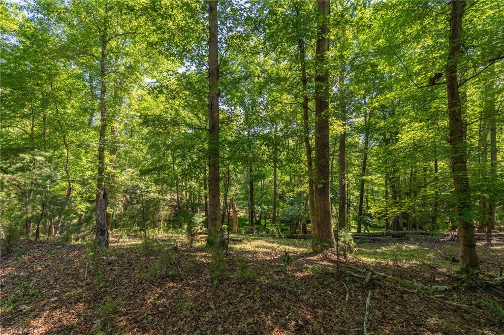 7289 Plunkett Road Stokesdale, NC 27357 - Photo 14 of 27