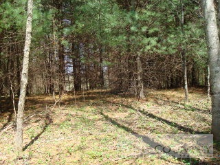 Lot 2 Moon Ridge Road Crumpler, NC 28617 - Photo 1 of 1 Gallery Image 1