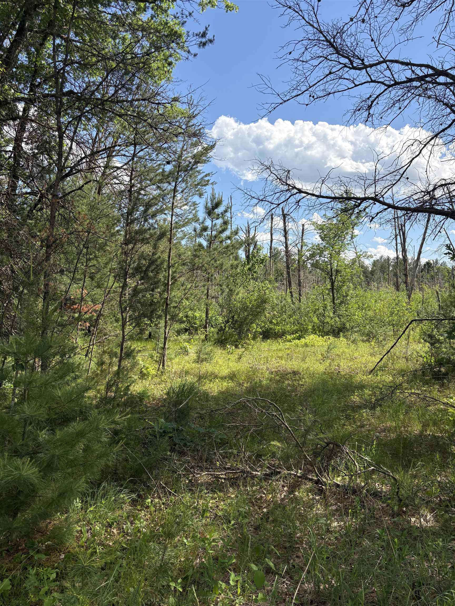 1369 County Rd C Arkdale, WI 54613 - Photo 11 of 13