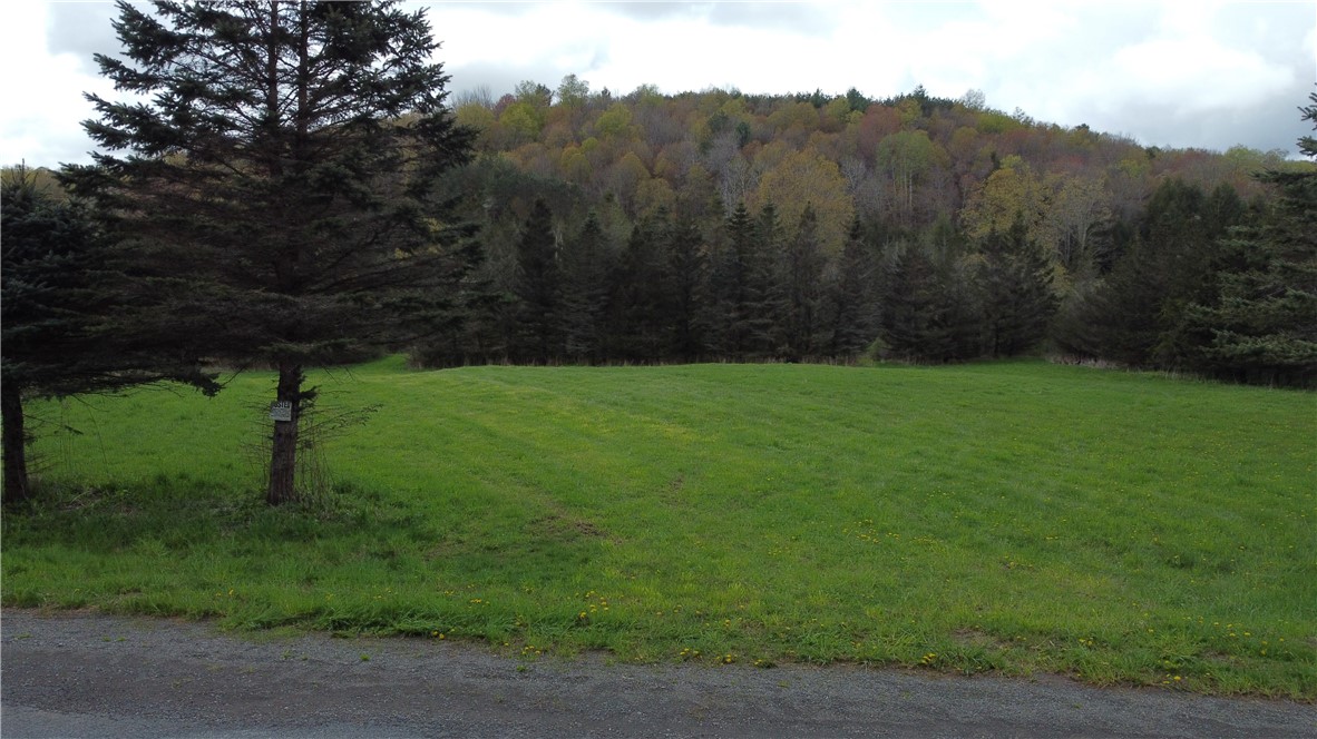 0 Shapley Road Bainbridge, NY 13733 - Photo 1 of 1 As you face the property from Shapley Rd