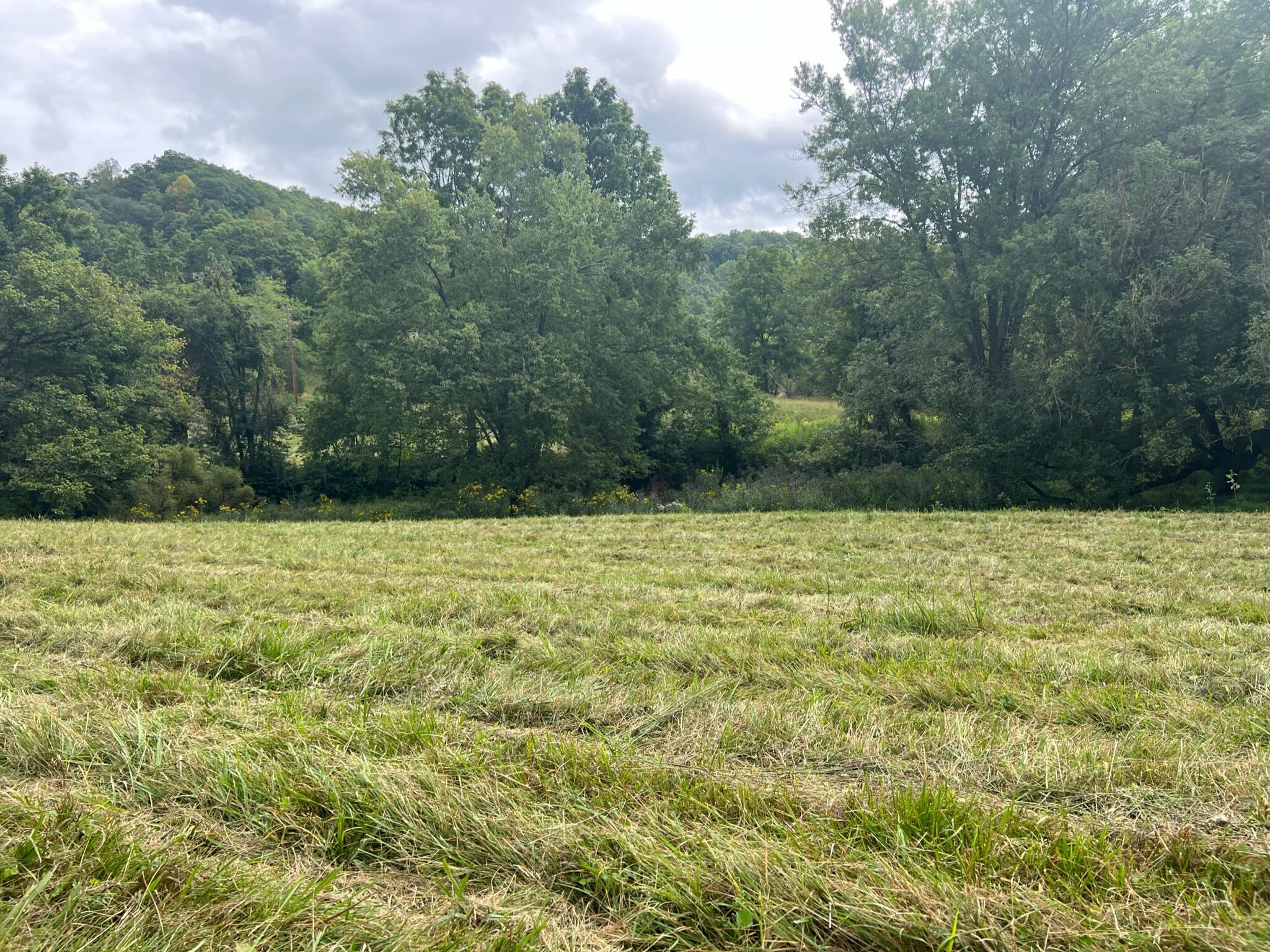 Wayside Creamery Road Pence Springs, WV 24962 - Photo 27 of 28 Gallery Image 27