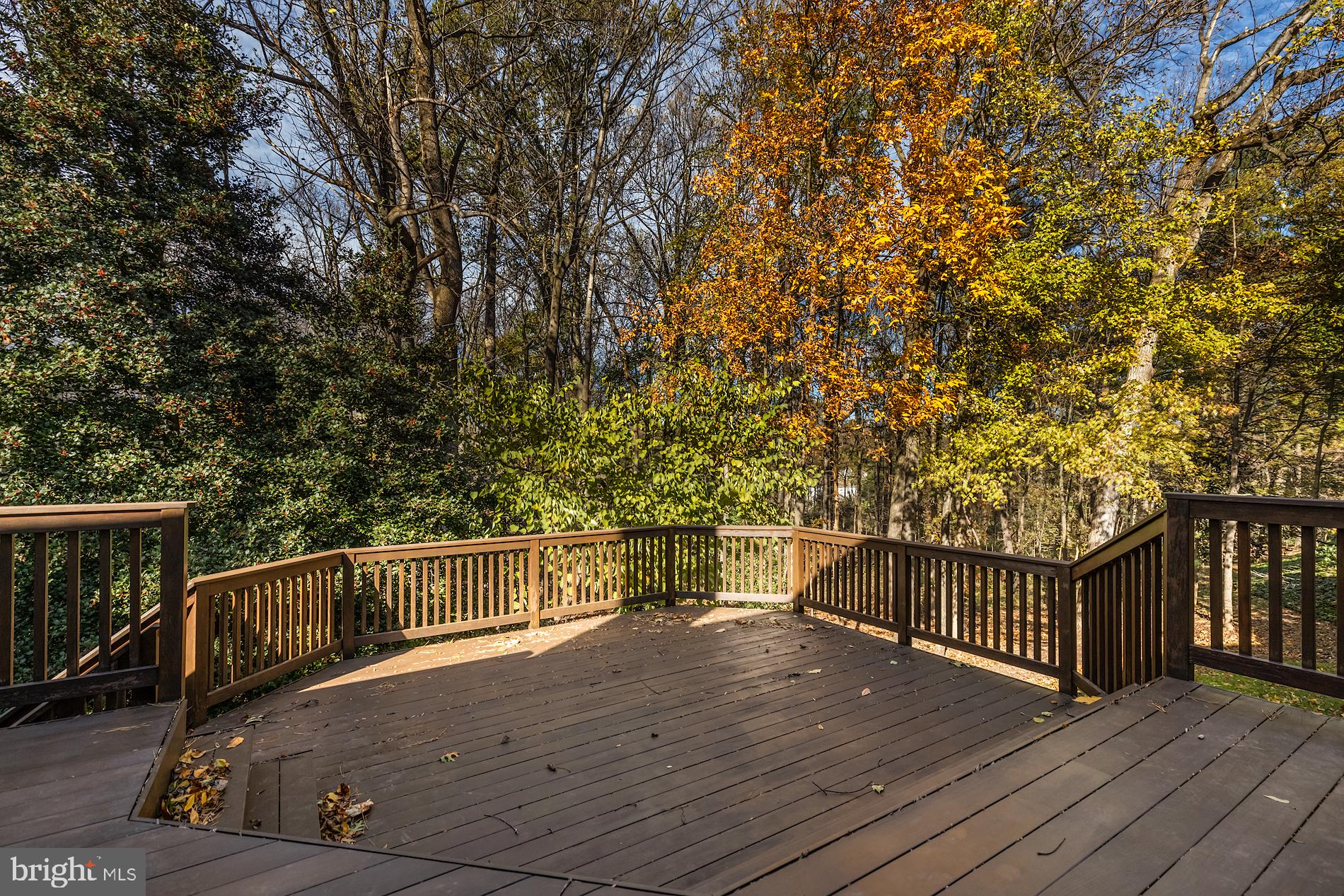 2014 Spring Branch Drive Vienna, VA 22181 - Photo 55 of 65 Gallery Image 55