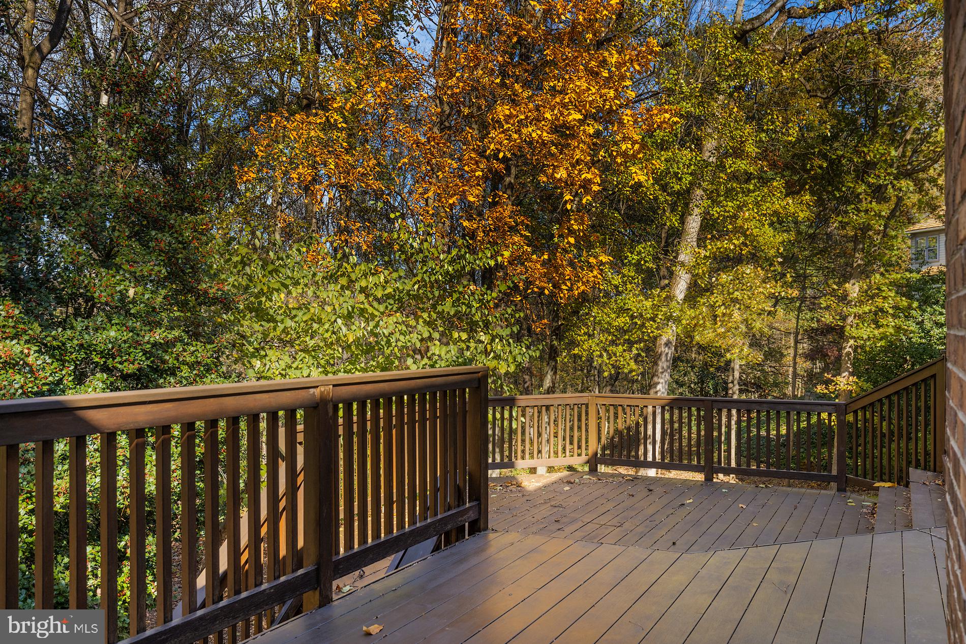 2014 Spring Branch Drive Vienna, VA 22181 - Photo 56 of 65 Gallery Image 56