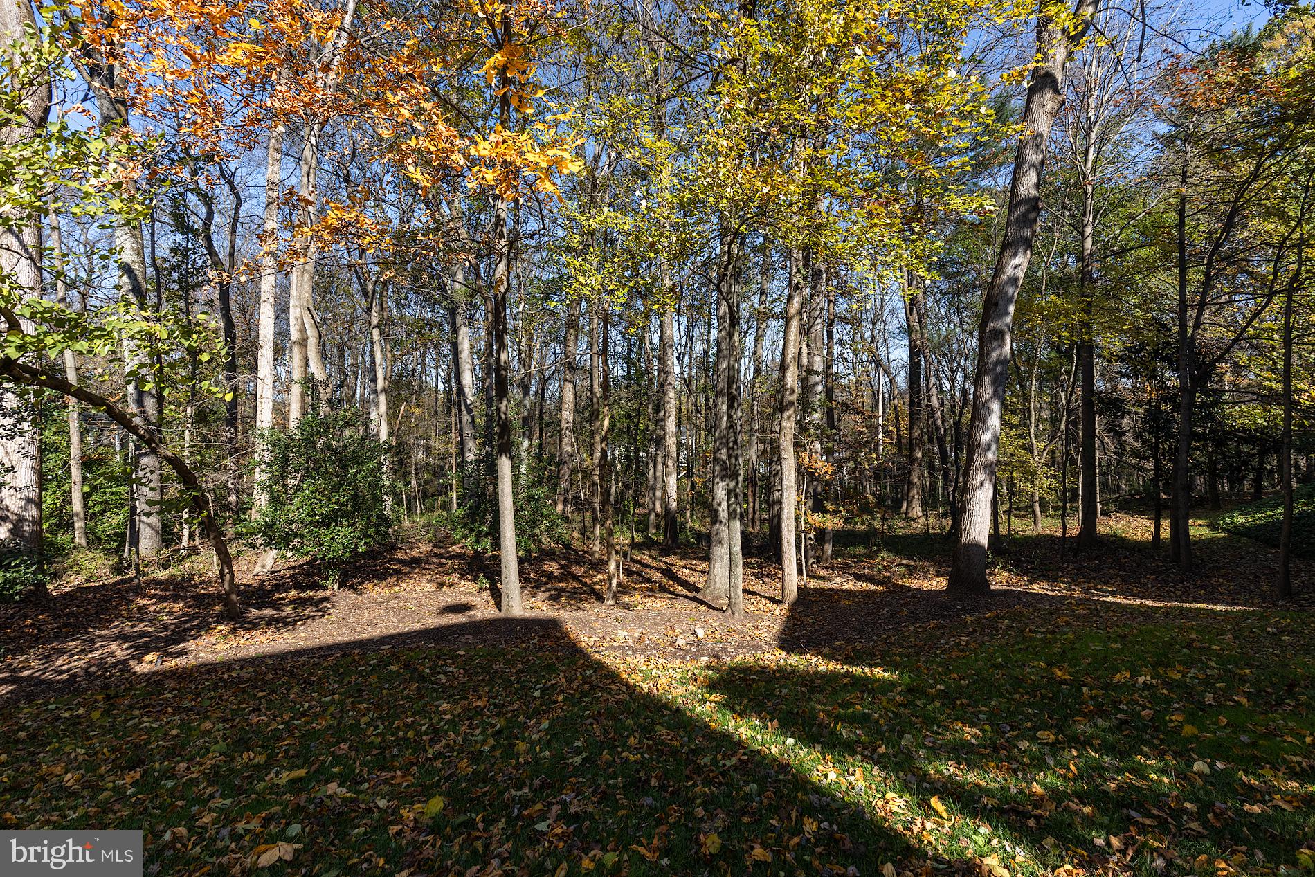 2014 Spring Branch Drive Vienna, VA 22181 - Photo 62 of 65 Gallery Image 62