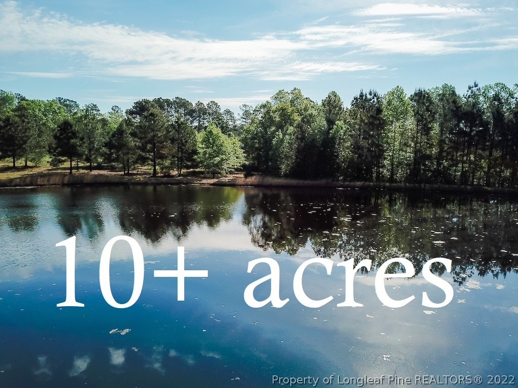Tbd Pilson Road Sanford, NC 27332 - Photo 1 of 15 Gallery Image 1