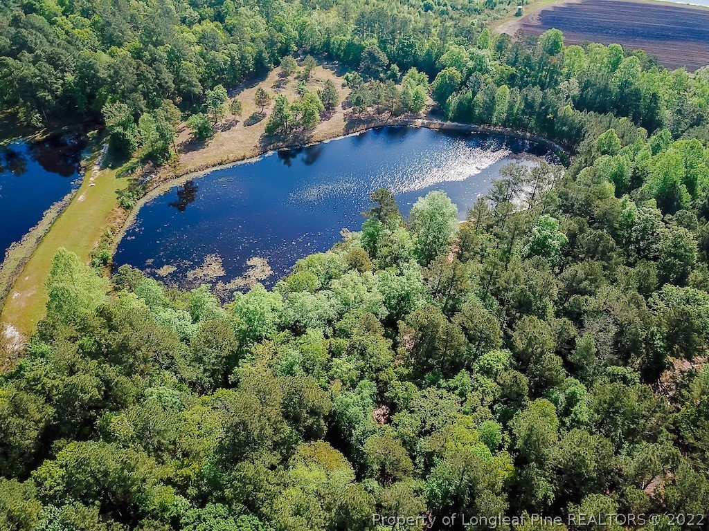 Tbd Pilson Road Sanford, NC 27332 - Photo 6 of 15 Gallery Image 6