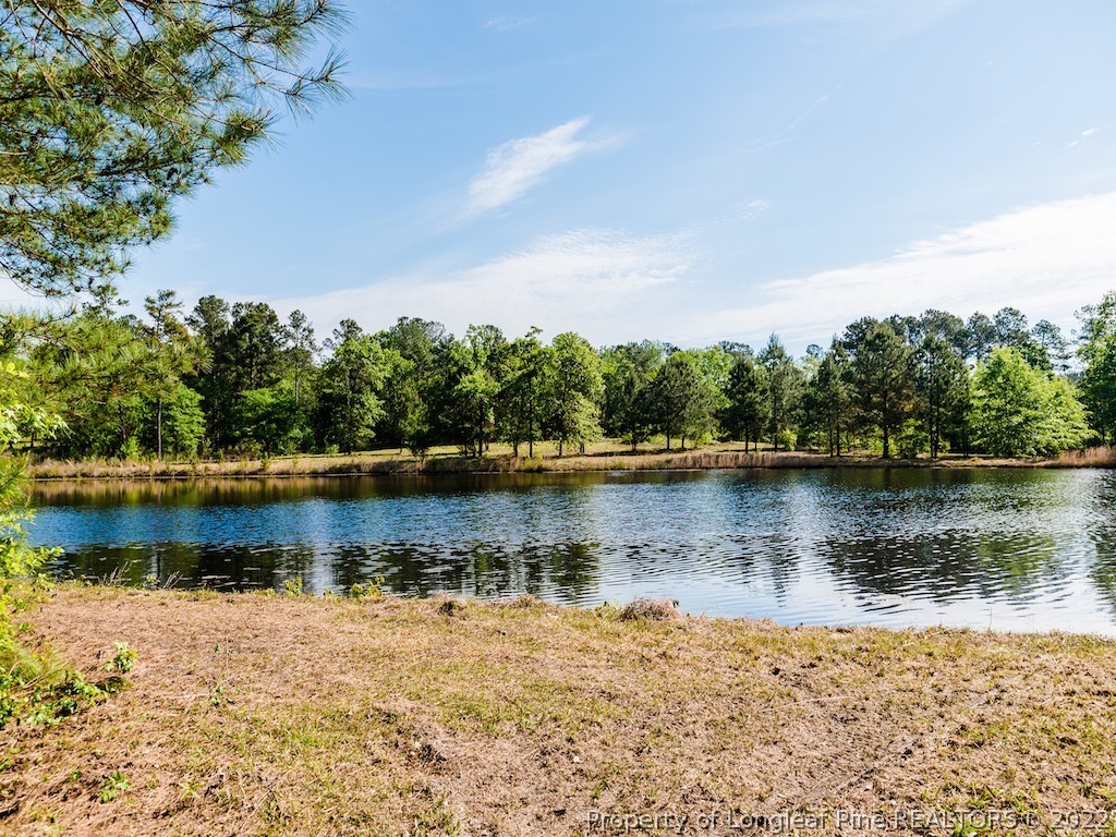 Tbd Pilson Road Sanford, NC 27332 - Photo 9 of 15 Gallery Image 9