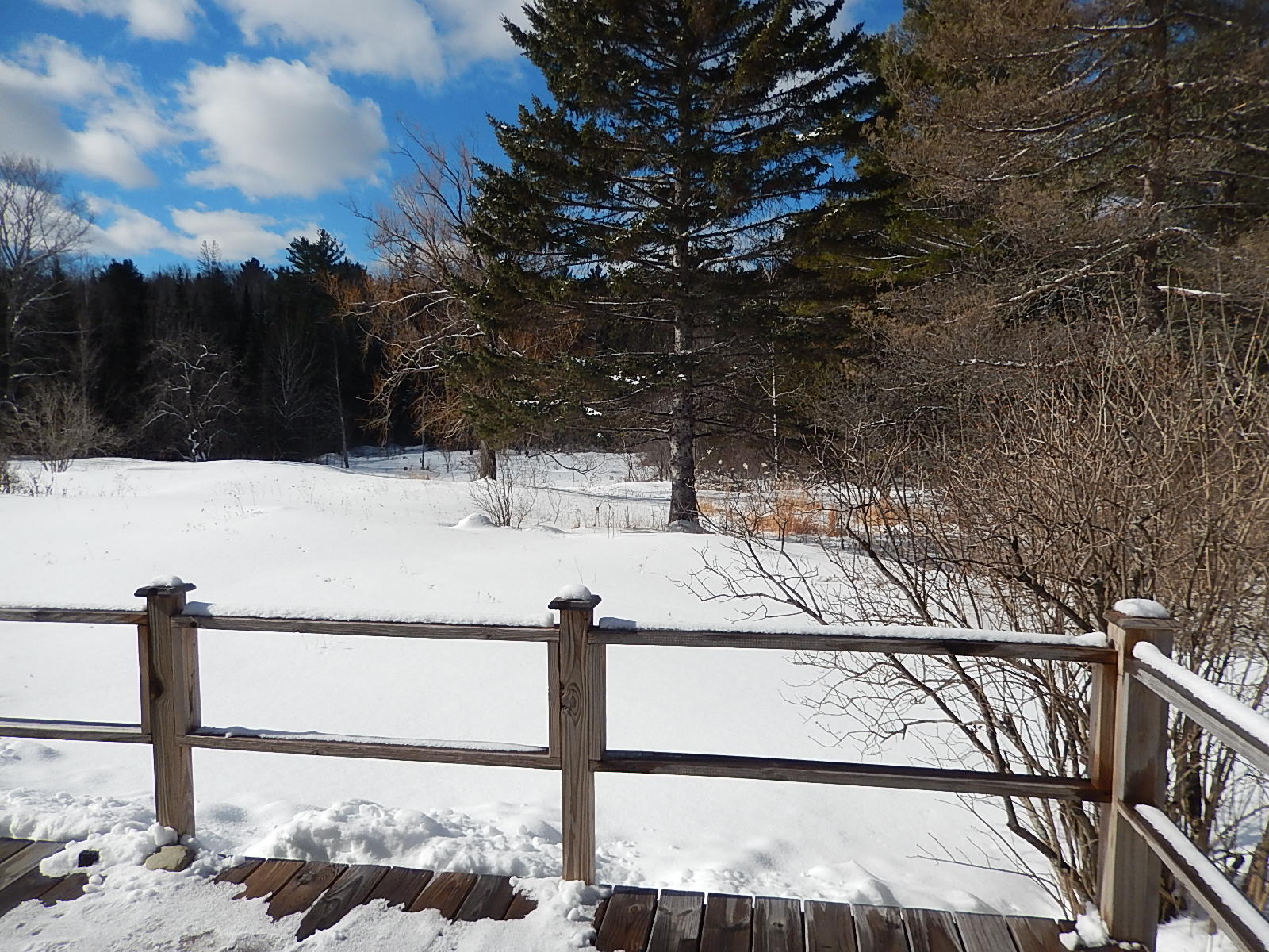 146 Files Hill Road Thorndike, ME 04986 - Photo 23 of 70 DSCN8905
