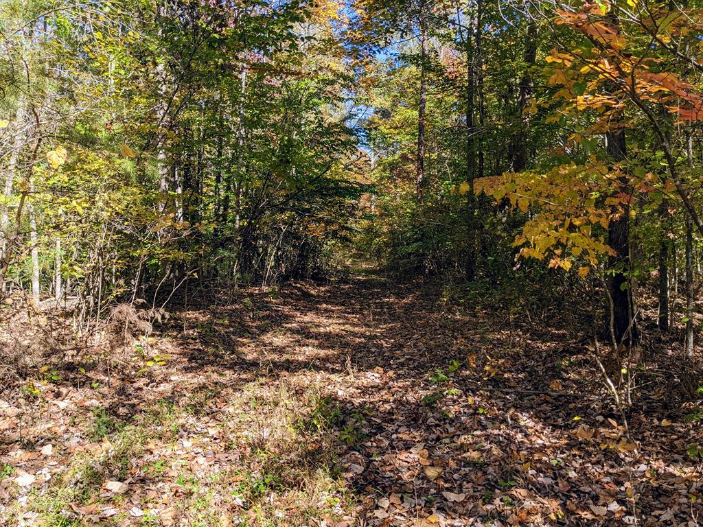 1029 Union Church Road Ferrum, VA 24088 - Photo 41 of 45 Gallery Image 41