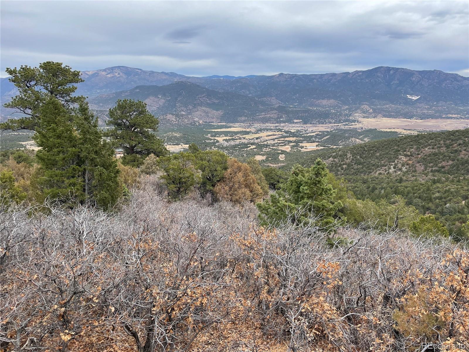 3453 Knotty Pine Road Howard, CO 81233 - Photo 1 of 22 Gallery Image 1