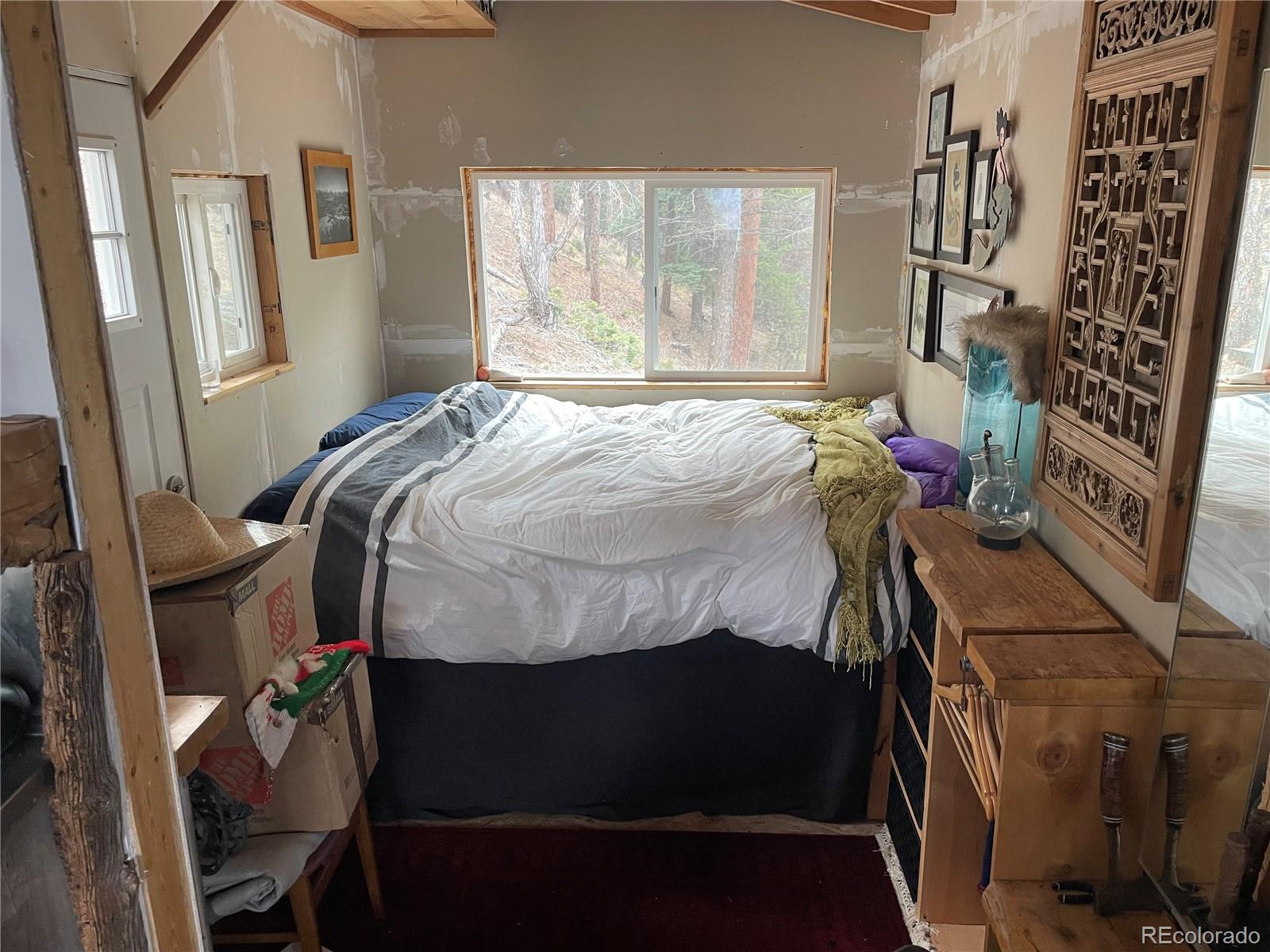 3453 Knotty Pine Road Howard, CO 81233 - Photo 19 of 22 Gallery Image 19