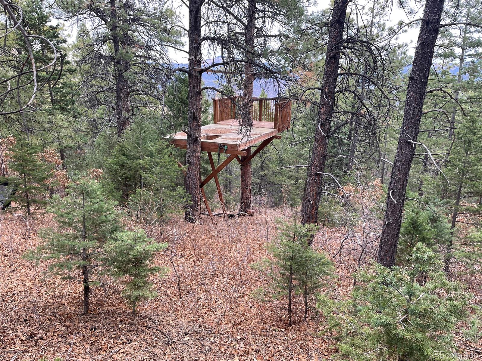 3453 Knotty Pine Road Howard, CO 81233 - Photo 8 of 22 Gallery Image 8