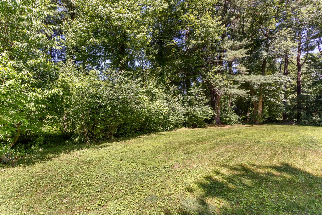 12 Tippycart Road Canton, MA 02021 - Photo 17 of 18 Gallery Image 17