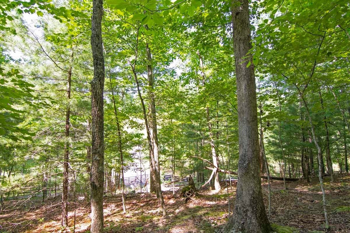 751-771 Lipps Road Lewisburg, WV 24901 - Photo 17 of 43 Gallery Image 17
