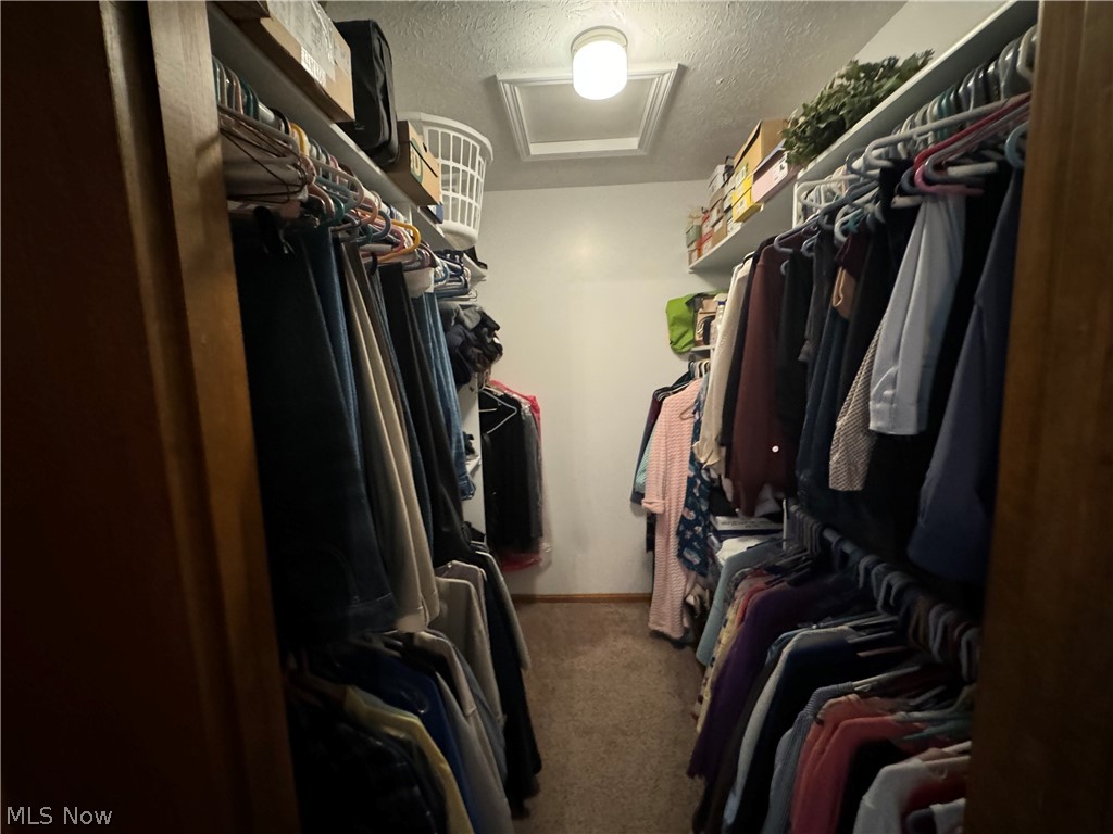 942 Webster Road Jefferson, OH 44047 - Photo 27 of 50 Spacious closet featuring carpet flooring