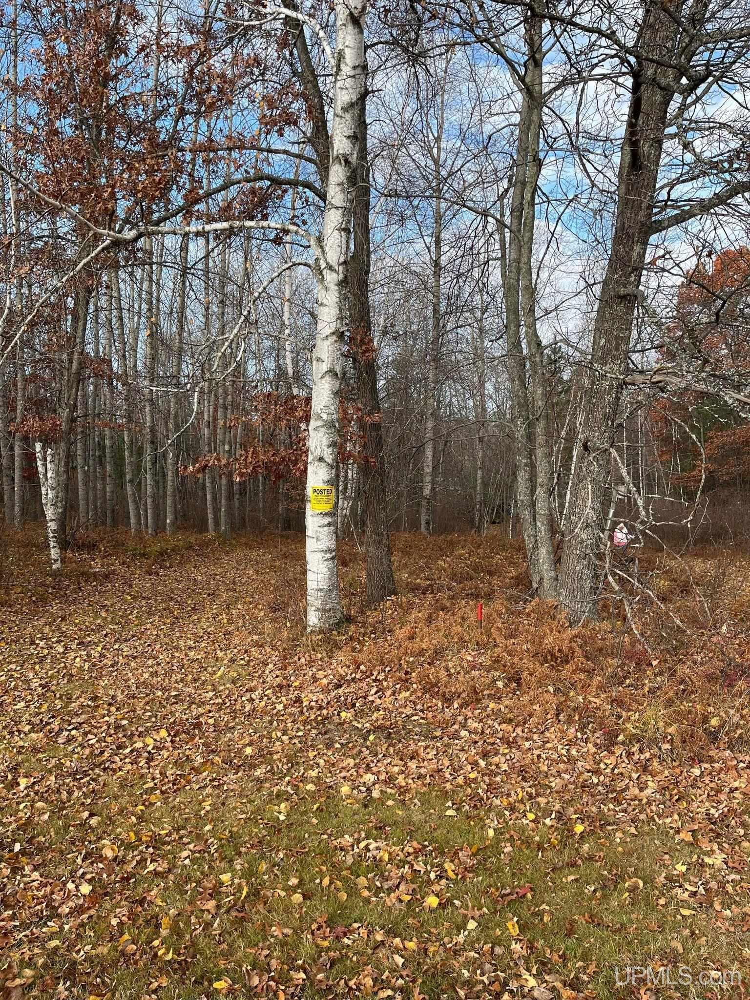 41 & 42 Frog Lake Road Florence, WI 54121 - Photo 7 of 7