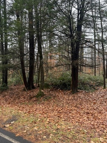 0 Wendell Depot Road Orange, MA 01364 - Photo 4 of 9 a backyard of a house with lots of green space