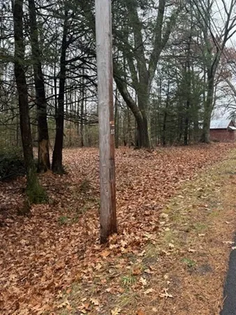 a view of a yard with trees
