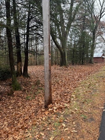 0 Wendell Depot Road Orange, MA 01364 - Photo 8 of 9 a view of a yard with trees