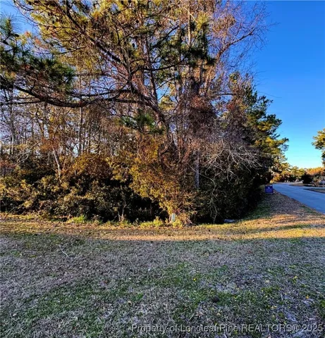 a view of outdoor space and yard