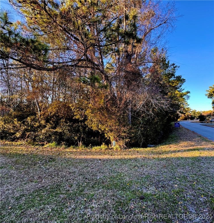 202 Pettiford Road Peletier, NC 28584 - Photo 7 of 12 a view of outdoor space and yard