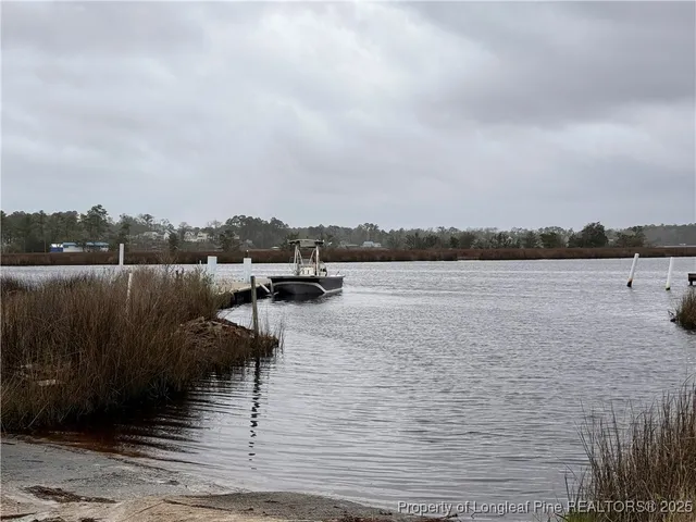 a view of swimming pool and lake in back