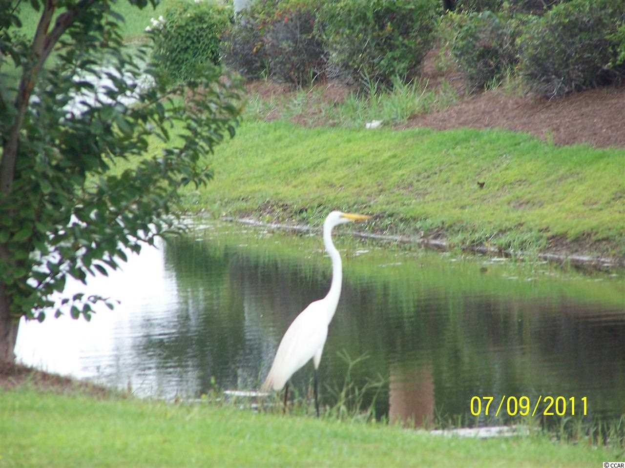 888 Edgewater Drive Murrells Inlet, SC 29576 - Photo 25 of 25 Gallery Image 25