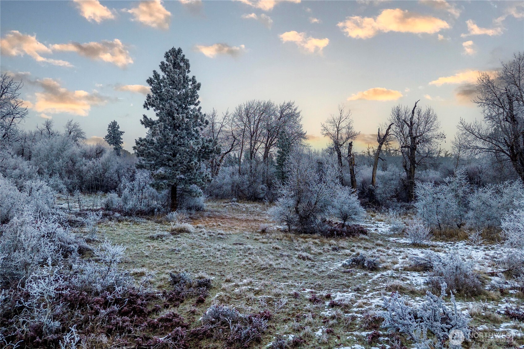 1581 Thomas Road Ellensburg, WA 98926 - Photo 36 of 40
