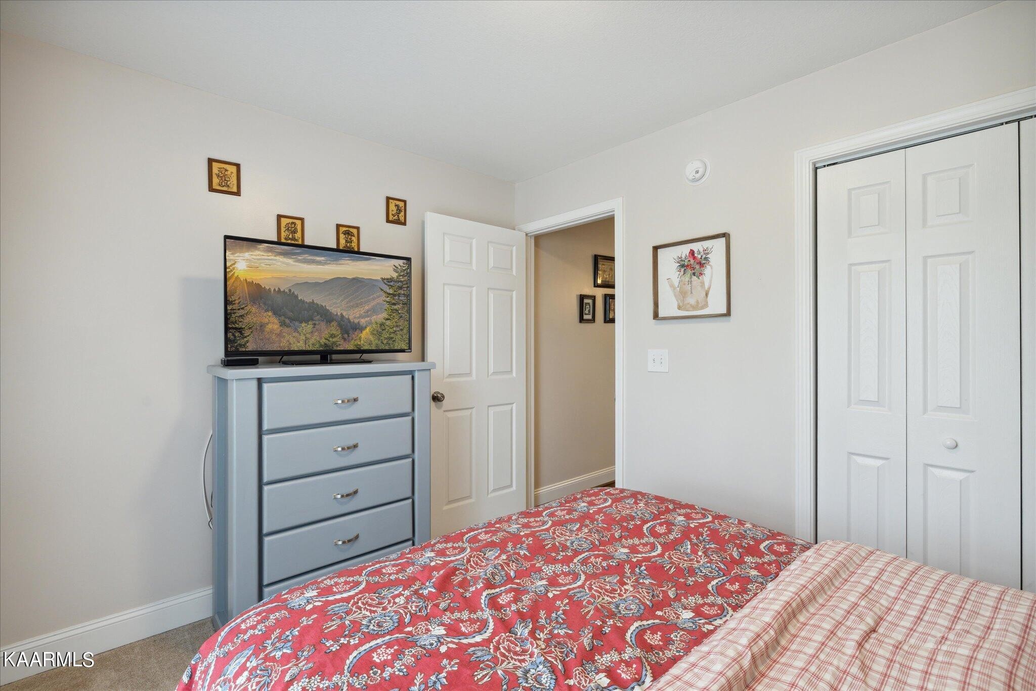 2038 Murphys Chapel Drive Sevierville, TN 37876 - Photo 17 of 25