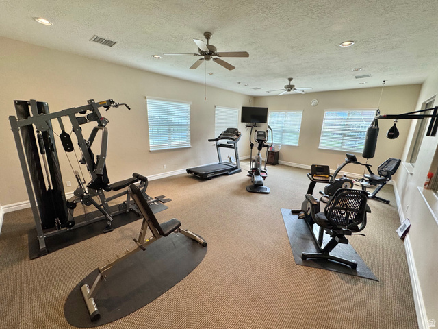 1204 South 1150th Street West Payson, UT 84651 - Photo 23 of 26 Clubhouse fitness room featuring neutral carpeting, multiple windows with blinds, recessed lighting, and ceiling fans