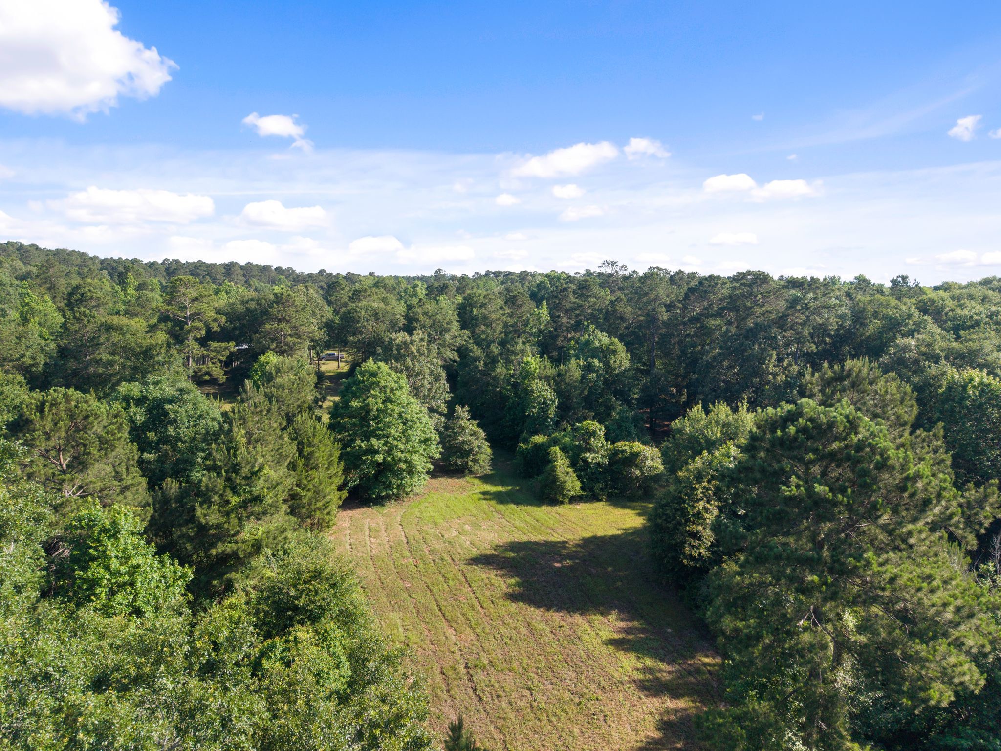 200 Spring Ridge Road Coldspring, TX 77331 - Photo 8 of 18 a view of a yard