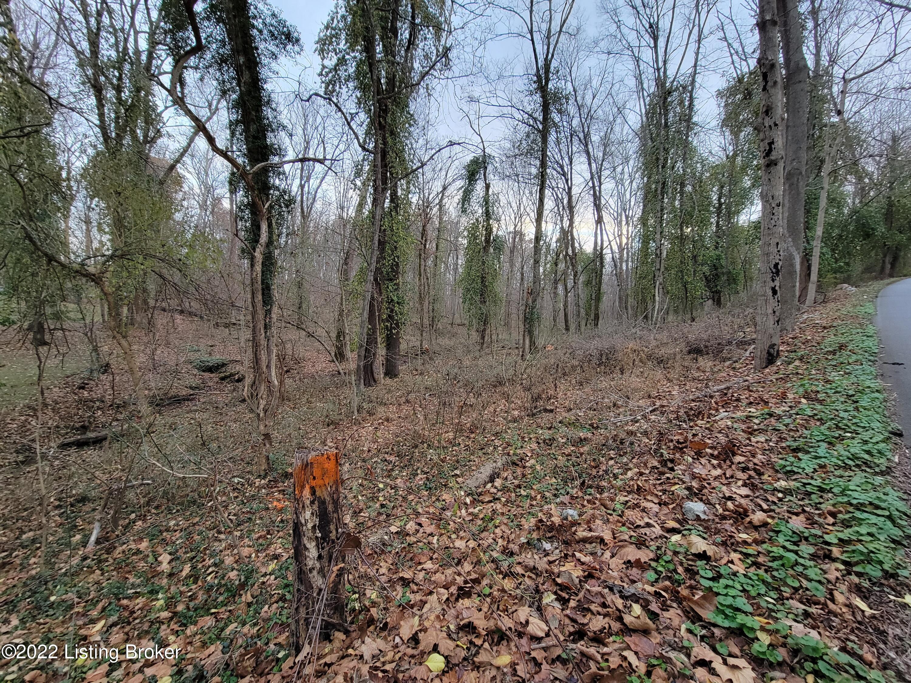 8010 Wolf Pen Branch Road Prospect, KY 40059 - Photo 31 of 34 20211127_170312