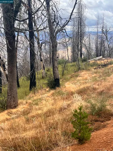 $150,000 | 4025 Volcanoville Road, Georgetown, CA 95634