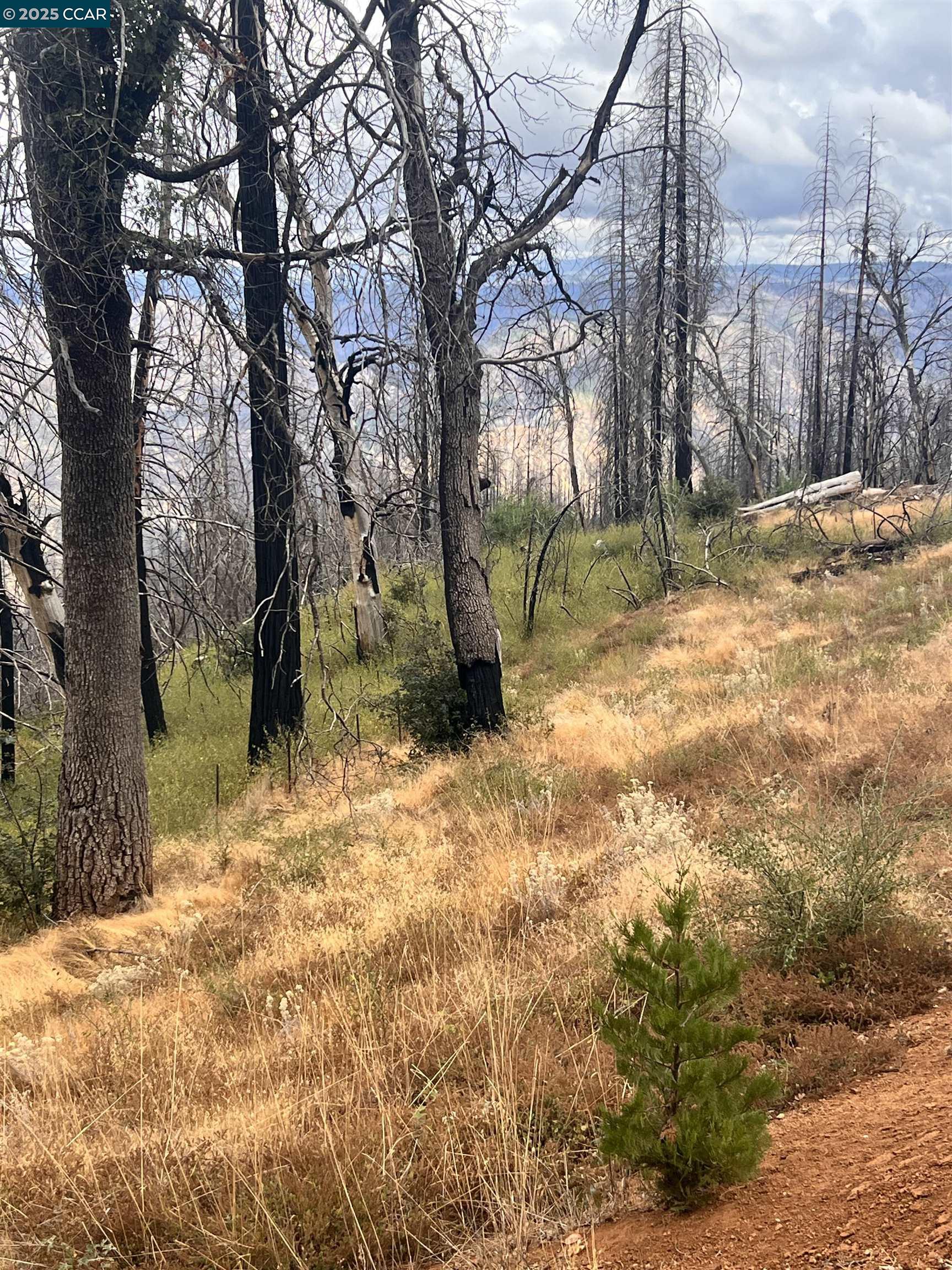 4025 Volcanoville Road Georgetown, CA 95634 - Photo 2 of 3