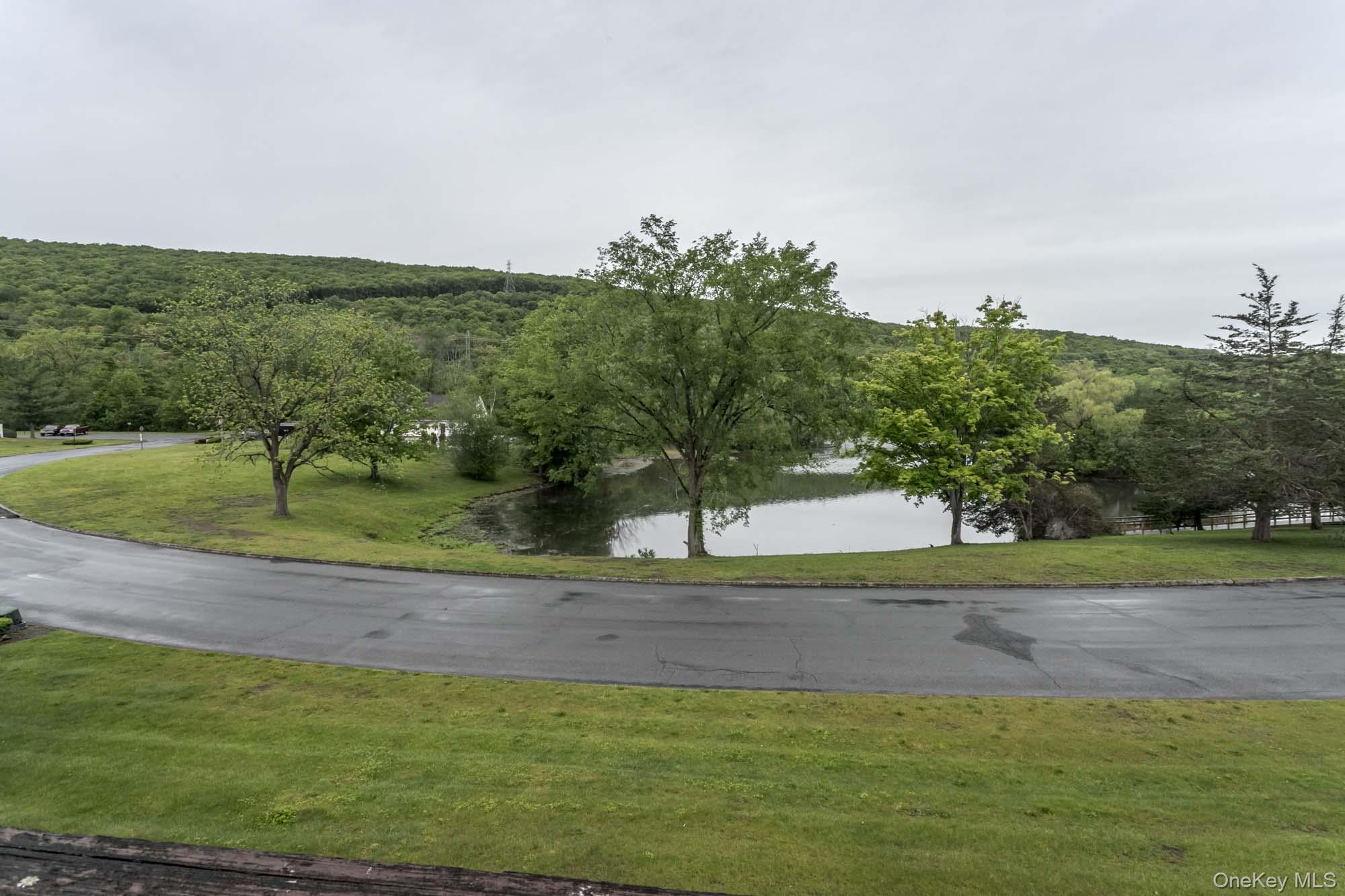 804 Swan Hollow Road Monroe, NY 10950 - Photo 16 of 26