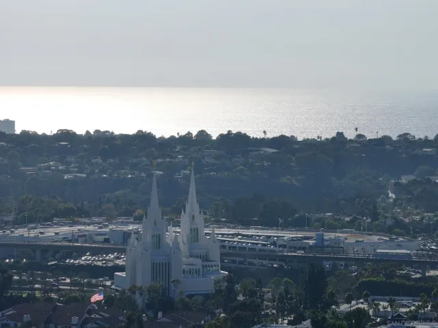 a view of a house with a yard and potted plants