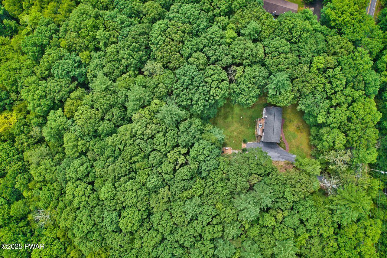 142 Myck Road Dingmans Ferry, PA 18328 - Photo 47 of 51 ariel view 1