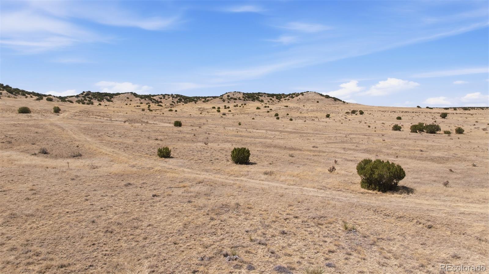 0 Longhorn Trail Model, CO 81059 - Photo 2 of 10